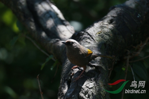DPP_24.JPG