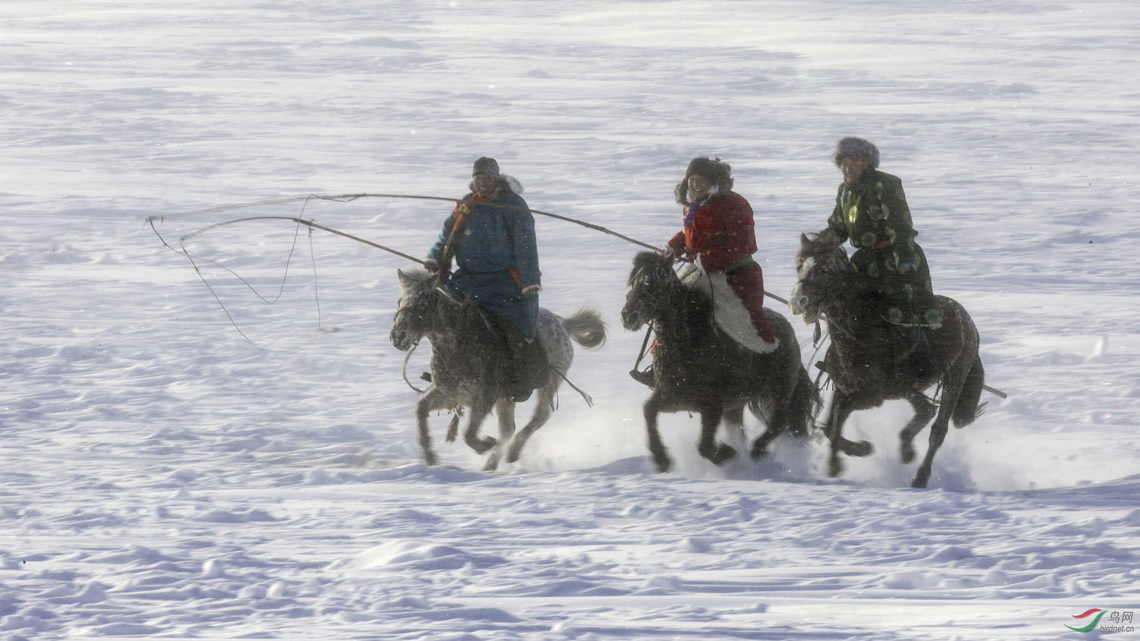 _16A9949     ��ѩ������.jpg