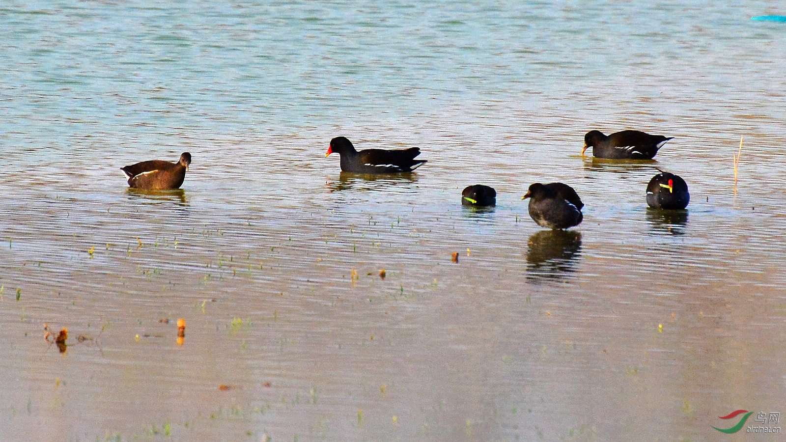 DSC_6093.JPG