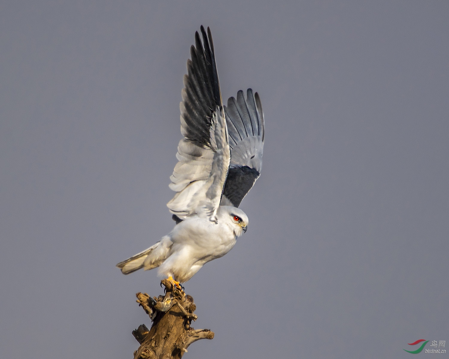 DSC_5432.jpg
