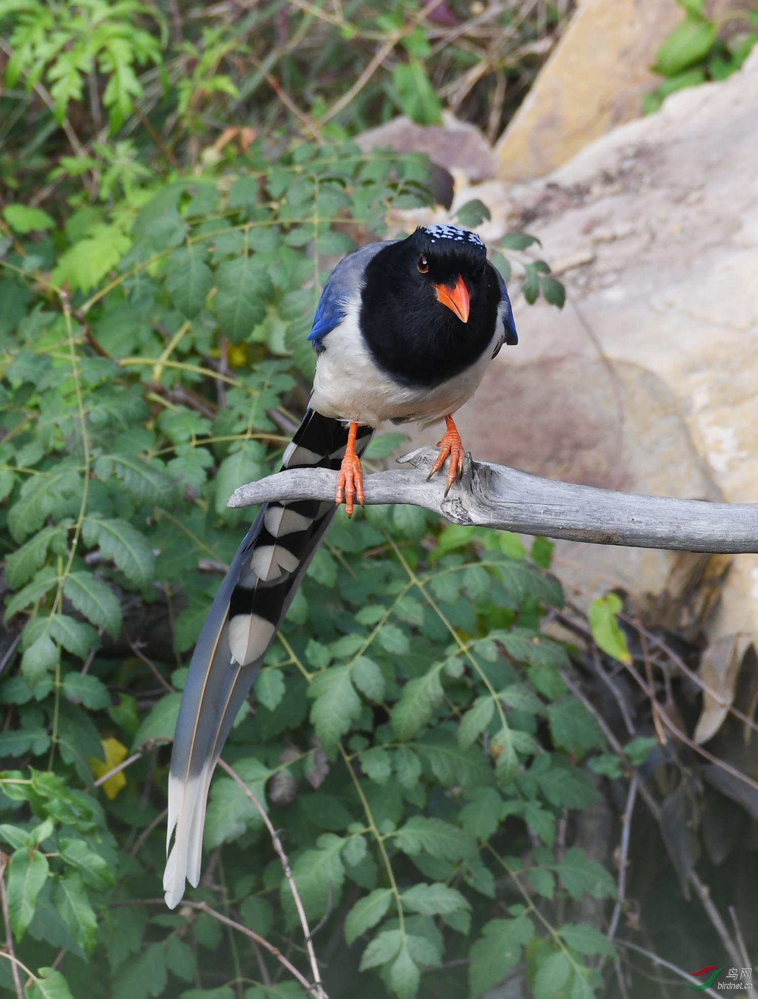 ������Ӱ 017����.jpg