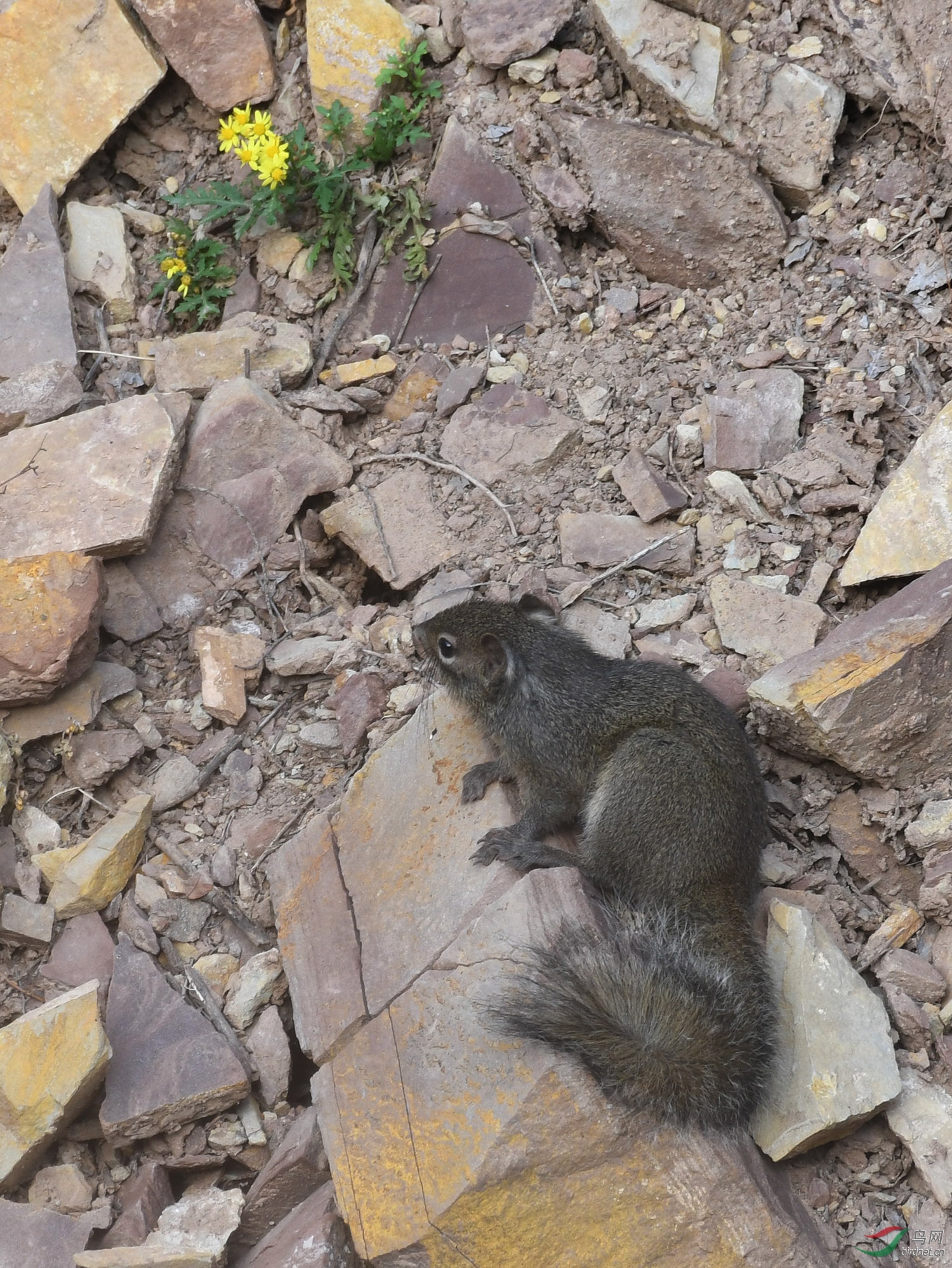 ������Ӱ 059����.jpg