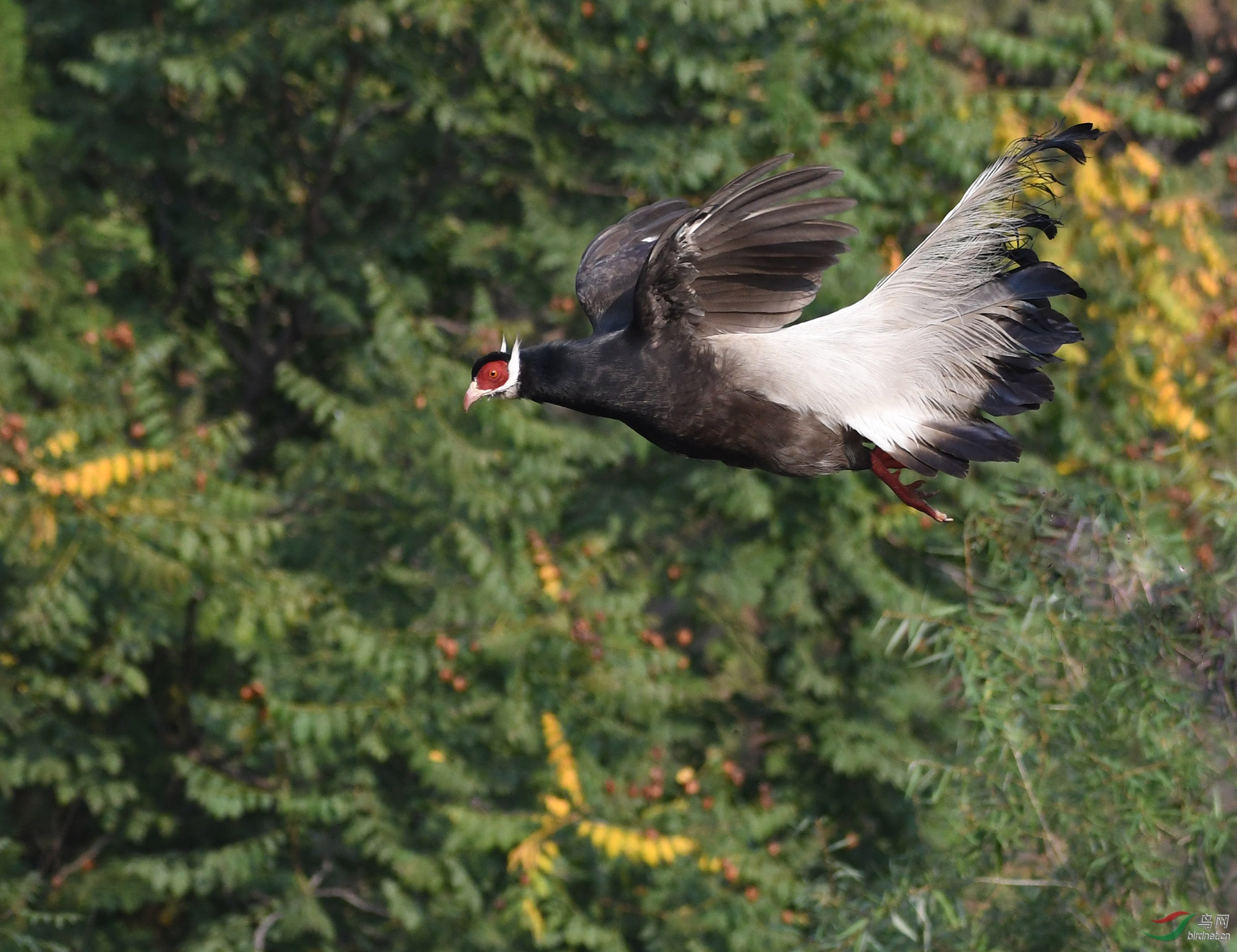 ������Ӱ 775����.jpg