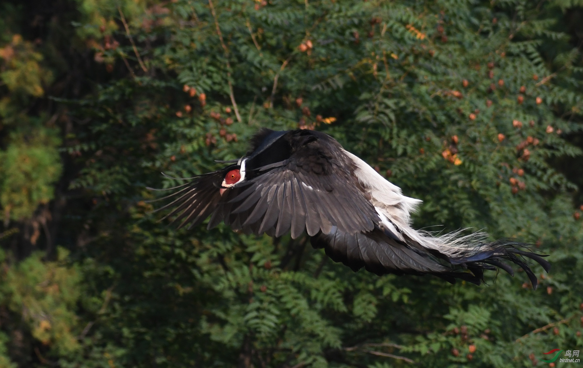 ������Ӱ 780����.jpg