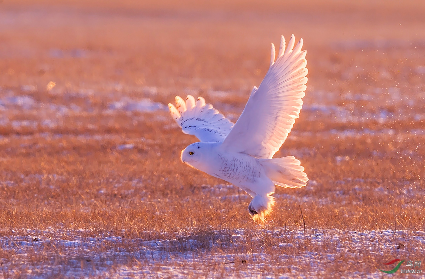 DSC_9298.jpg