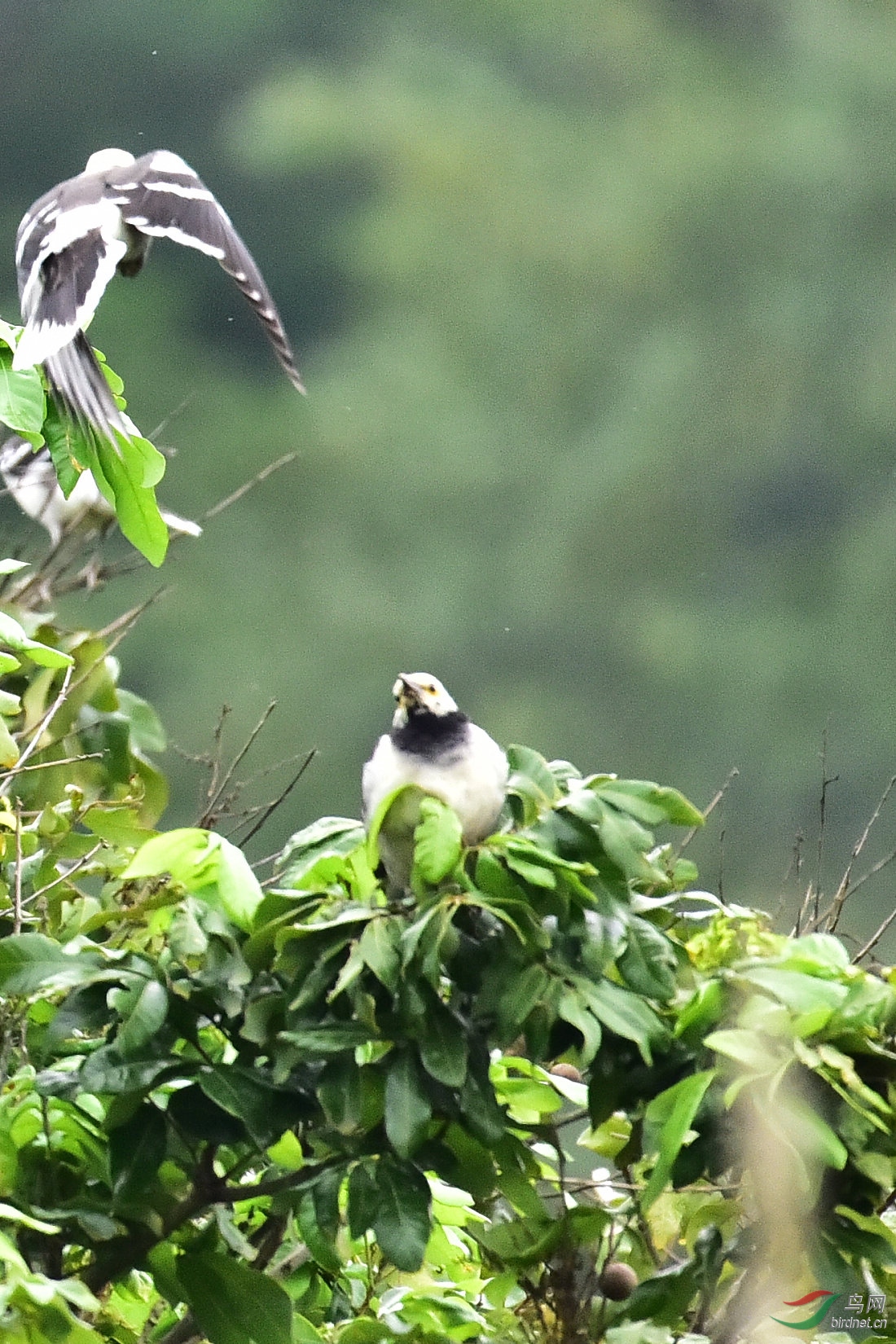 DSC_0837.JPG