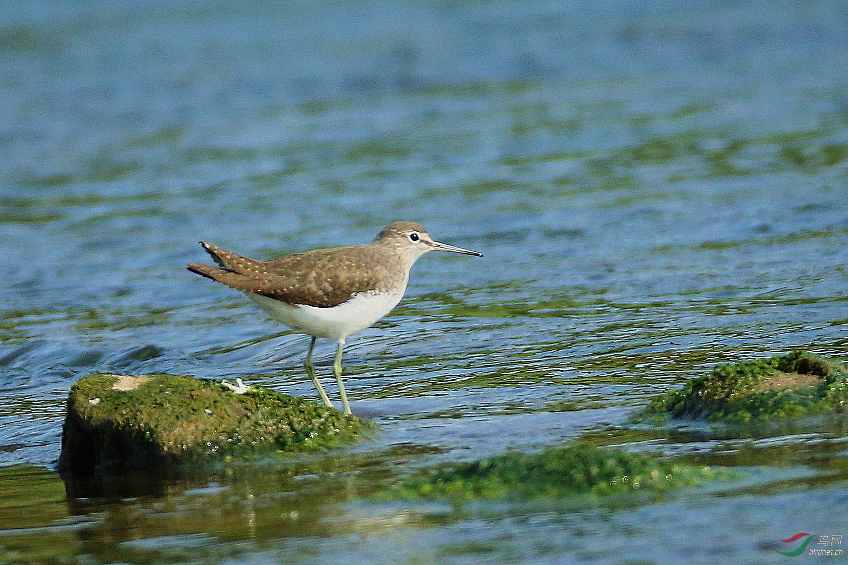 AV9R4844 .jpg
