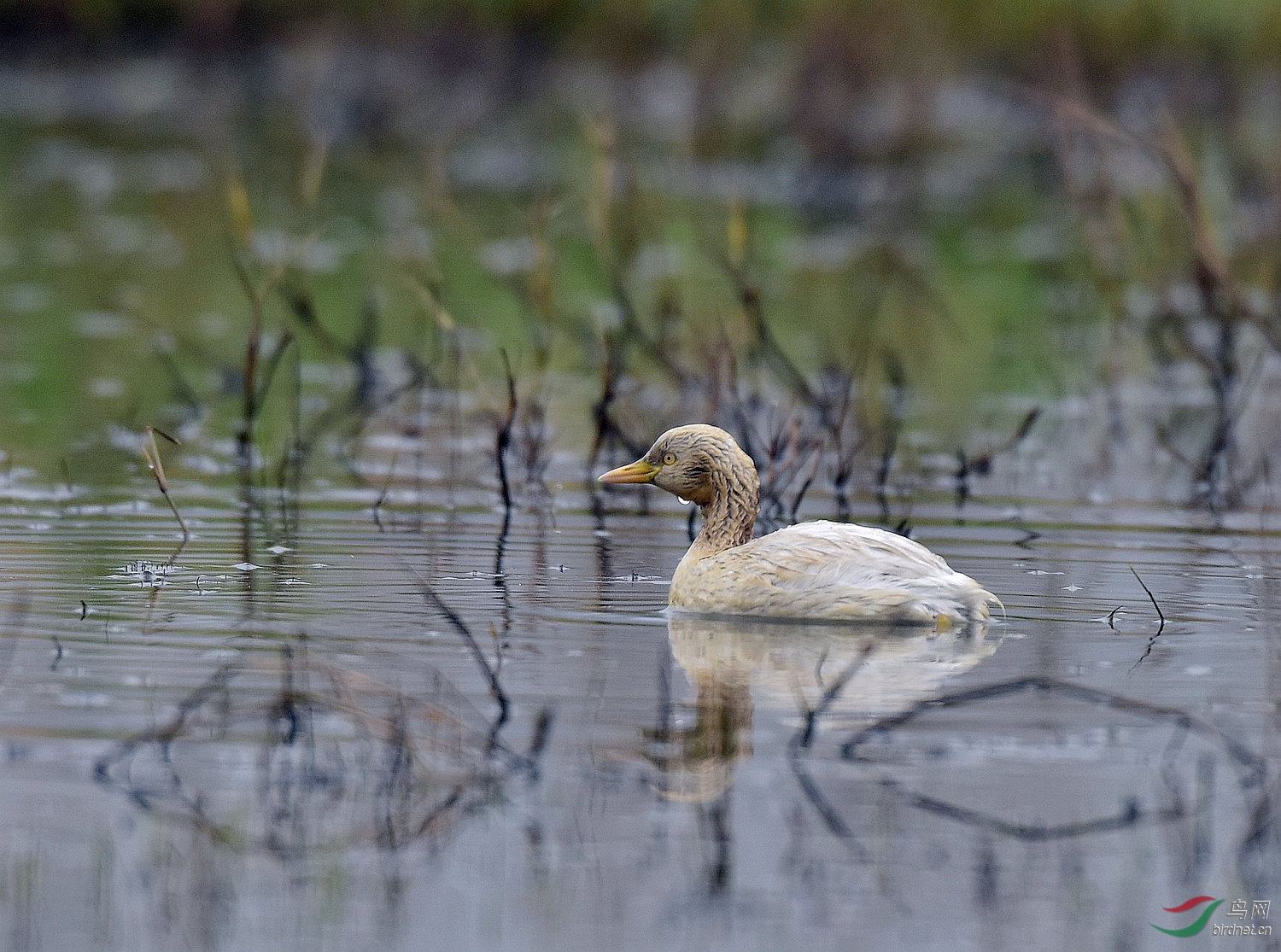 D8I_5070.jpg
