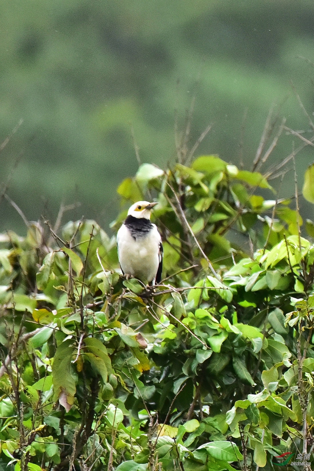 DSC_0842.JPG