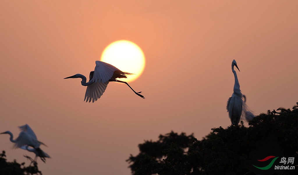 Ϧ������