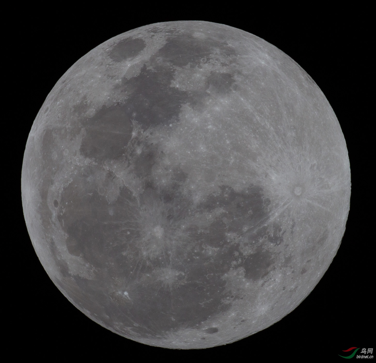 YPP_3770.jpg