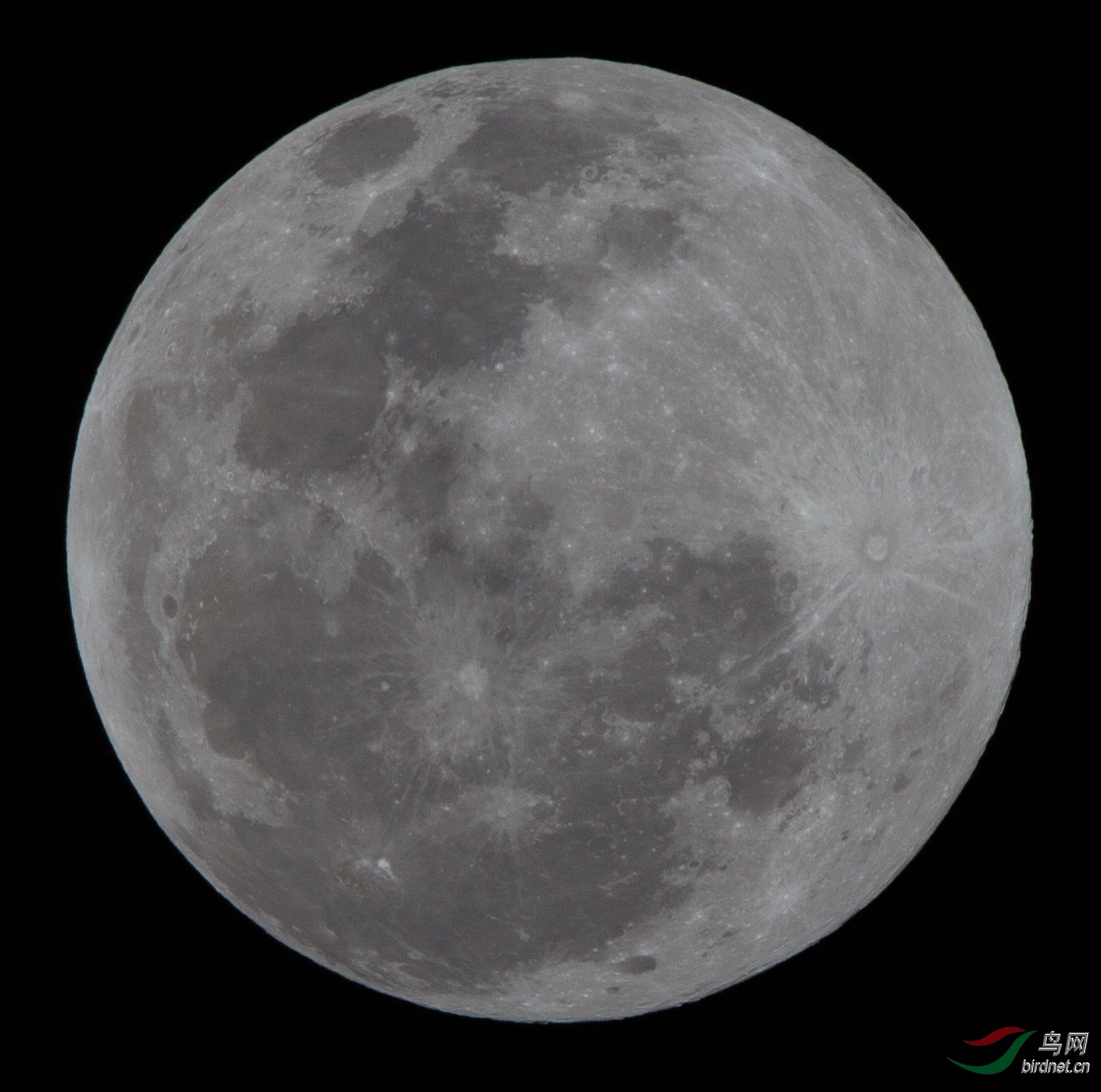 YPP_3776.jpg