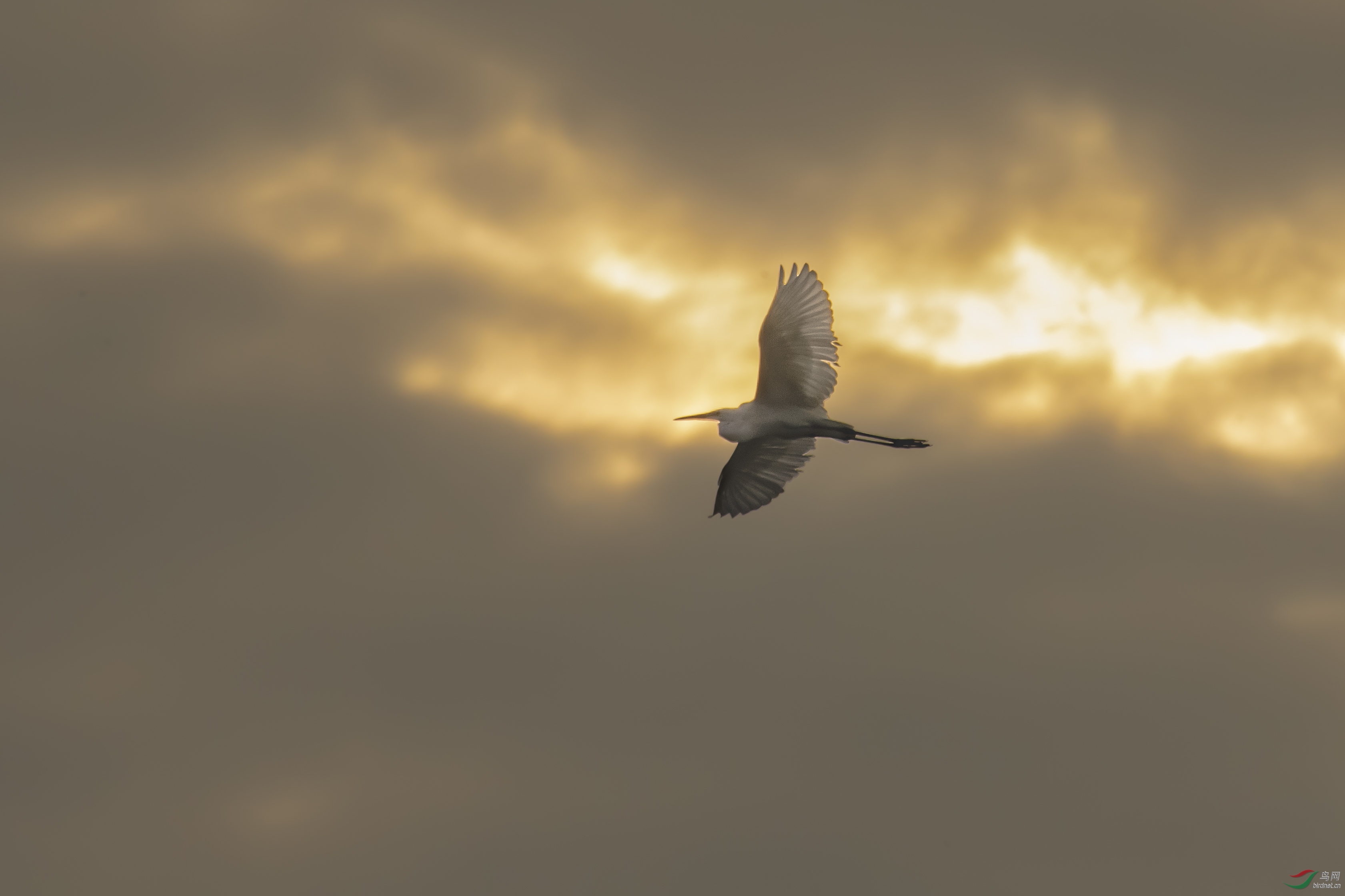 DSC_2045.jpg