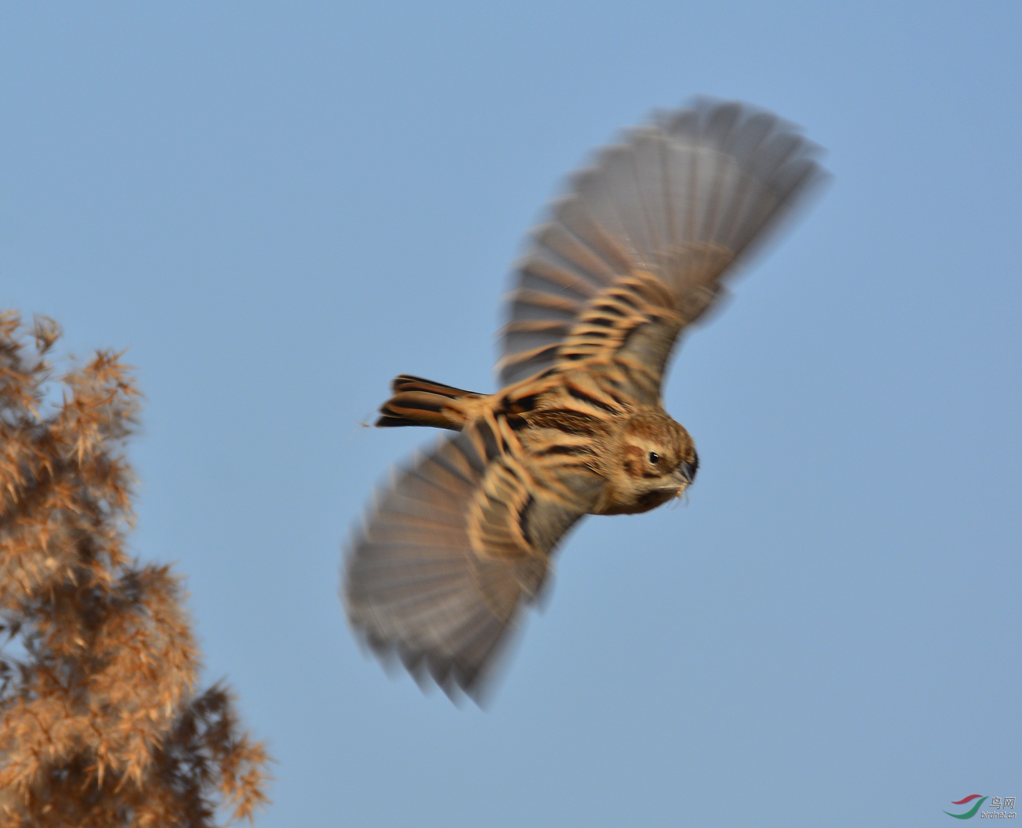 ������Ӱ 1307����.jpg