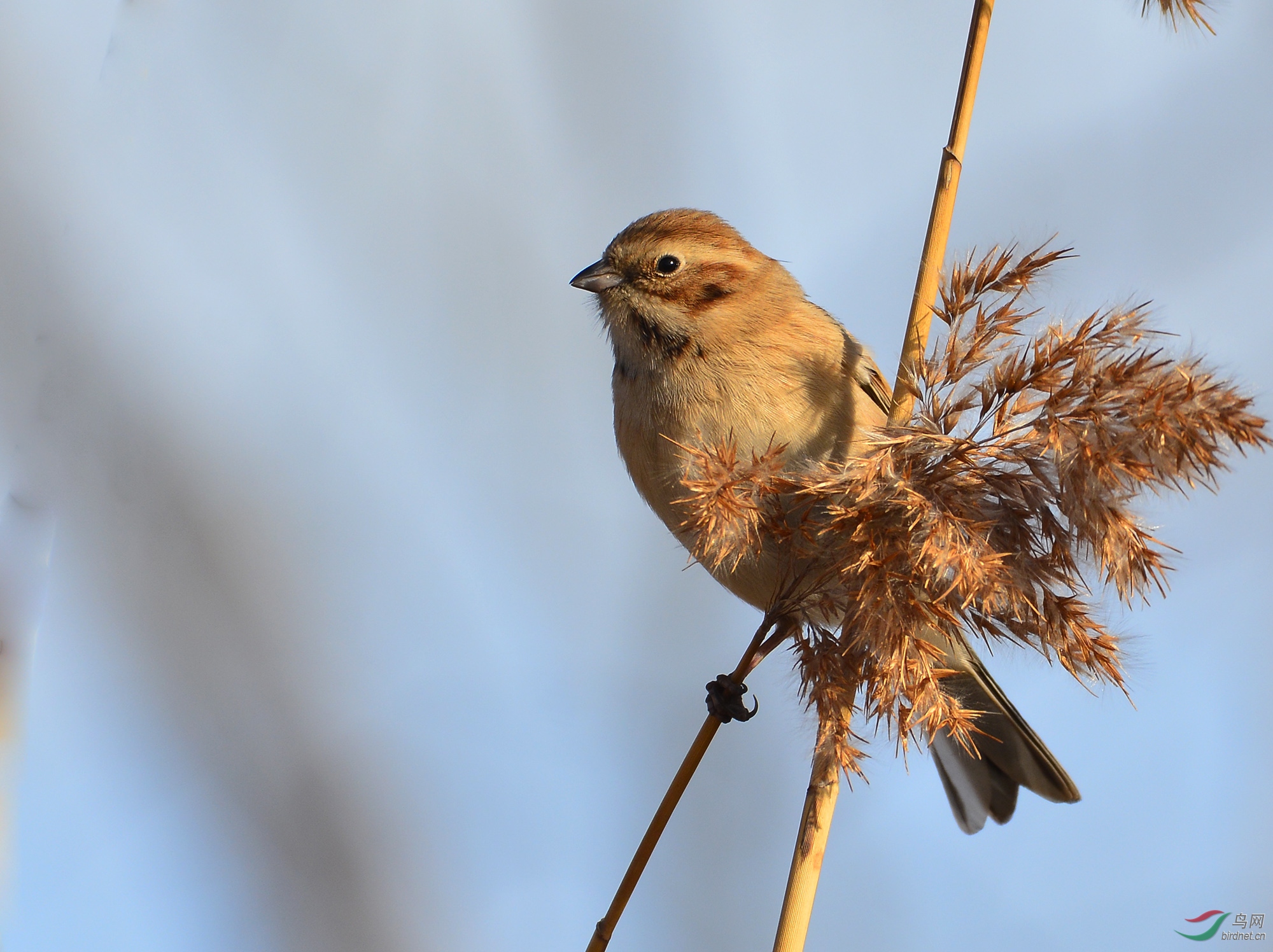 ������Ӱ 1502����.jpg