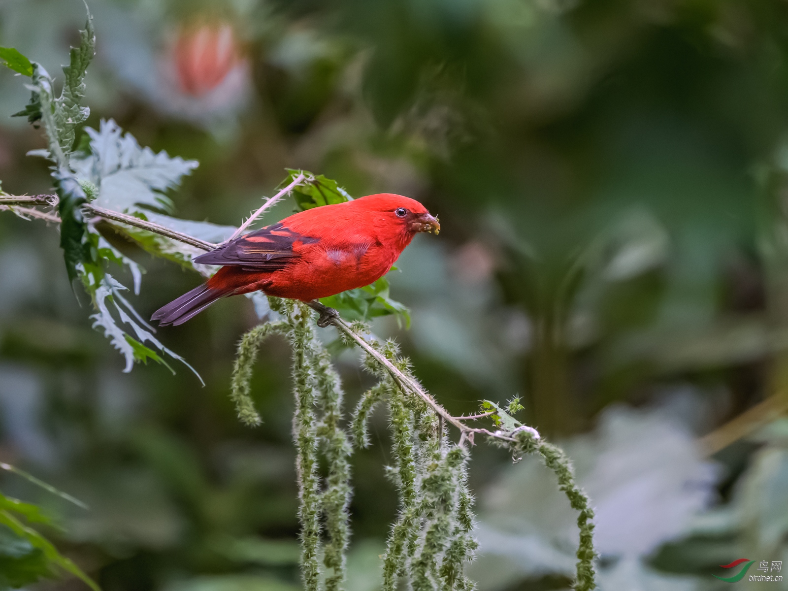 DSC_2147.jpg