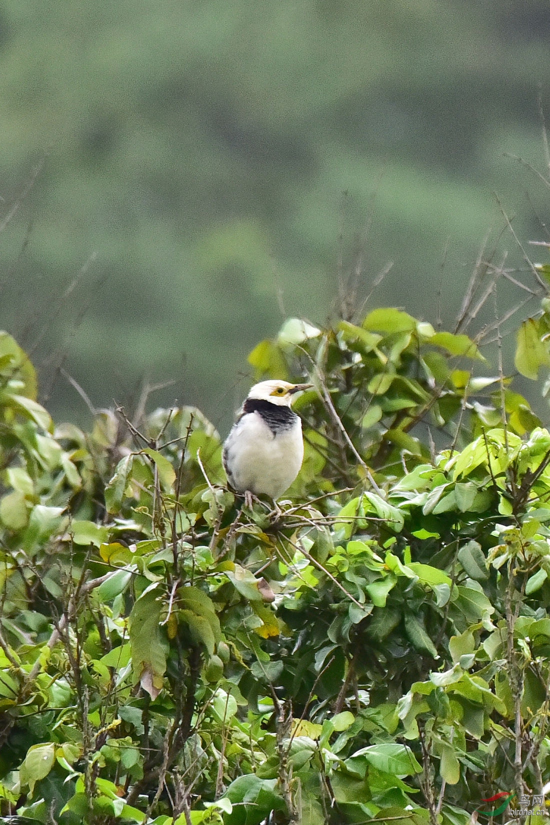 DSC_0849.JPG