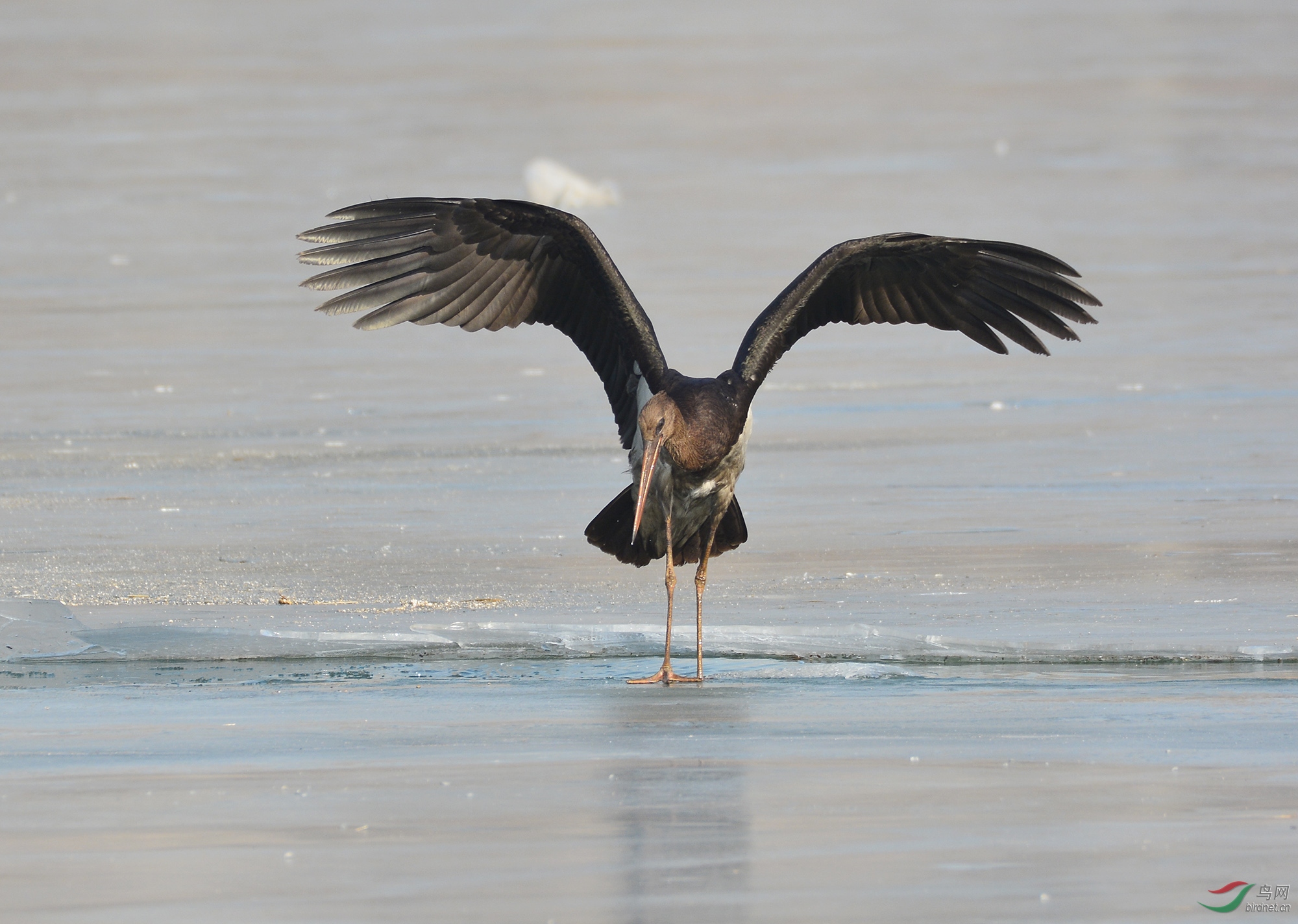 ������Ӱ 2439����.jpg