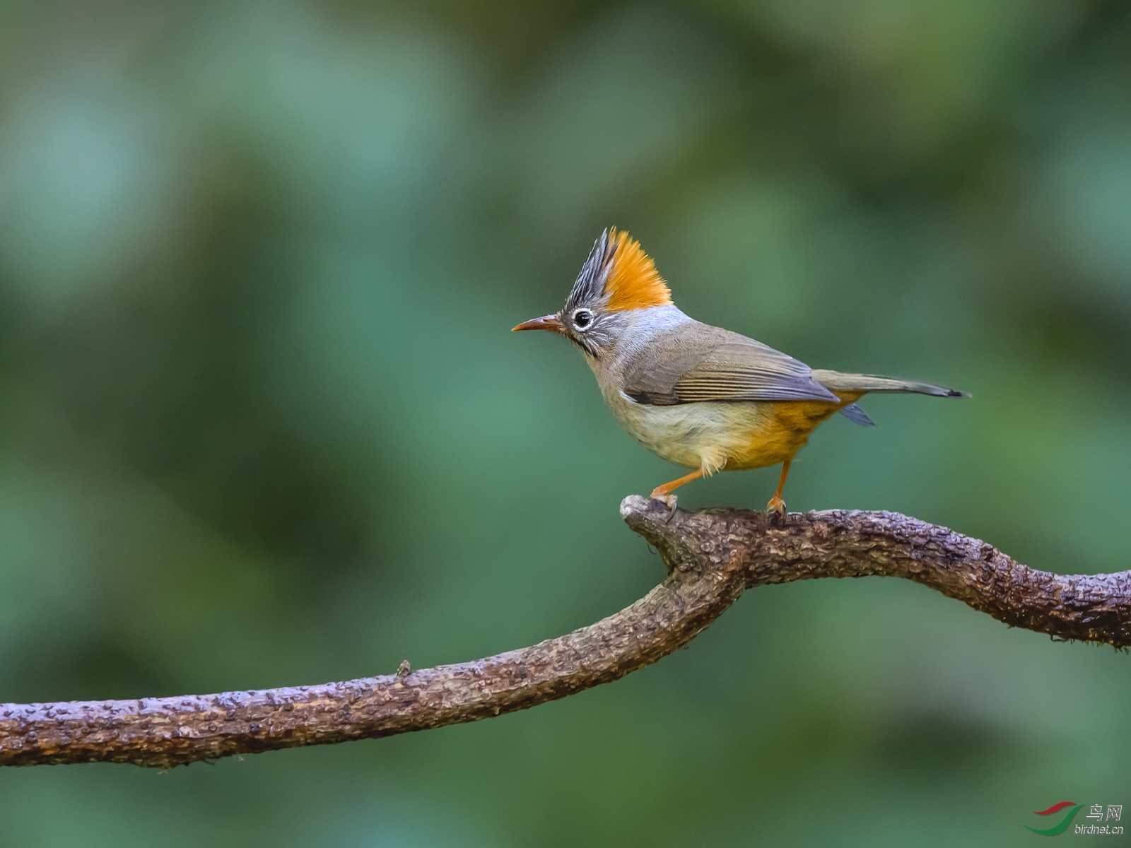 DSC_9566.jpg
