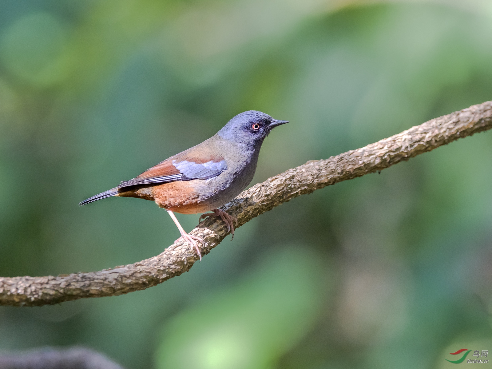 DSC_1511.jpg