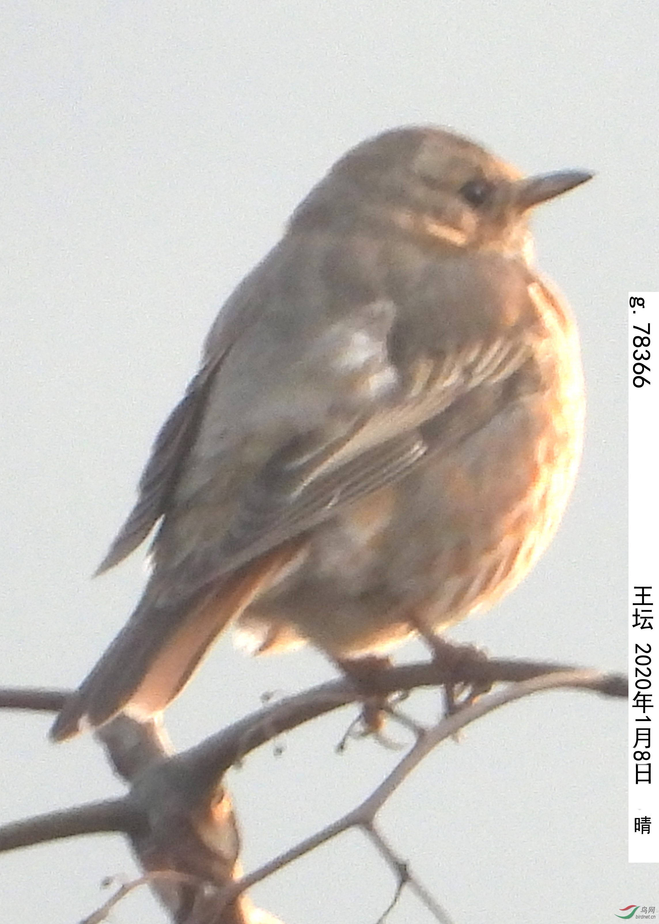 g.78366_����.jpg