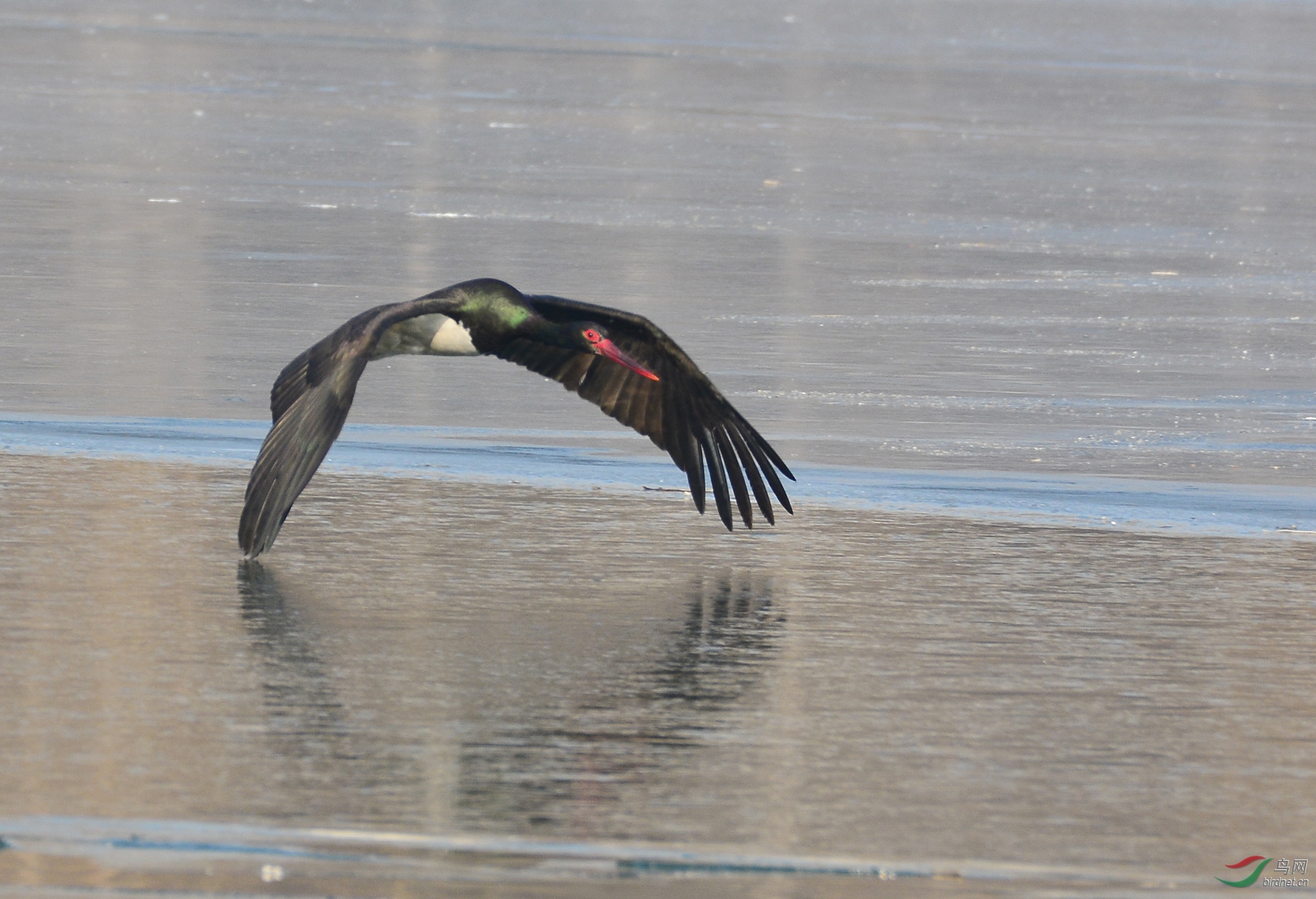 ������Ӱ 2615����.jpg