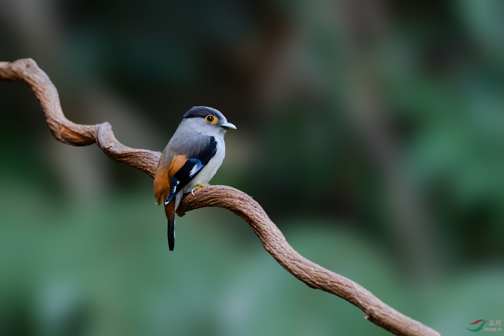 _DSC0008.jpg