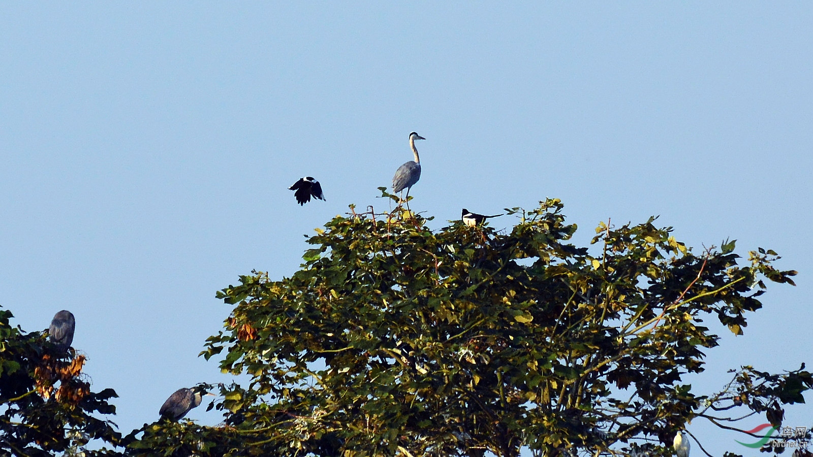 DSC_1436.JPG