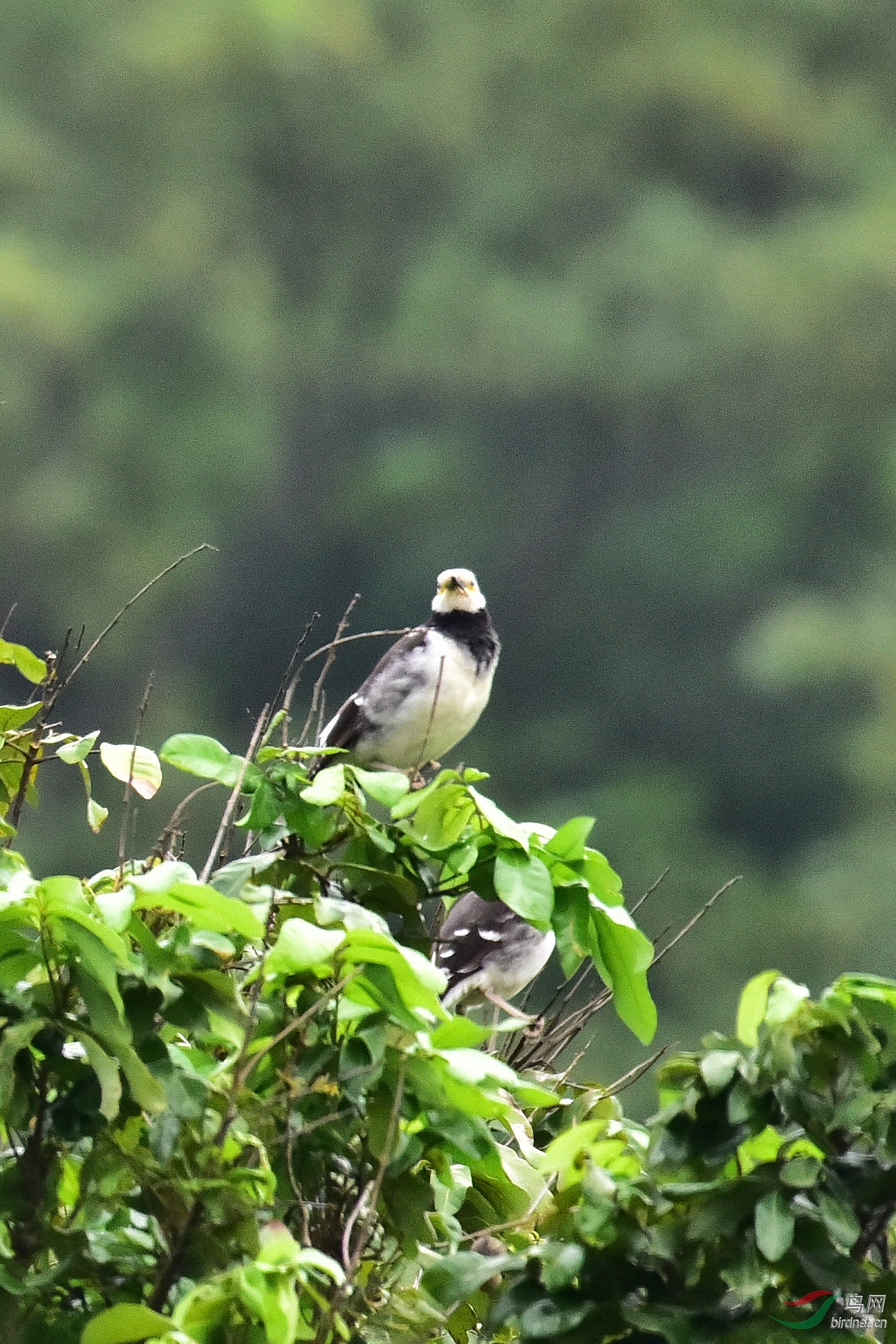 DSC_0858.JPG