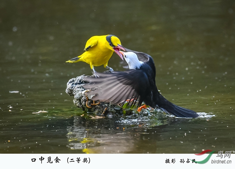 020������ʳ DSC_4691.jpg