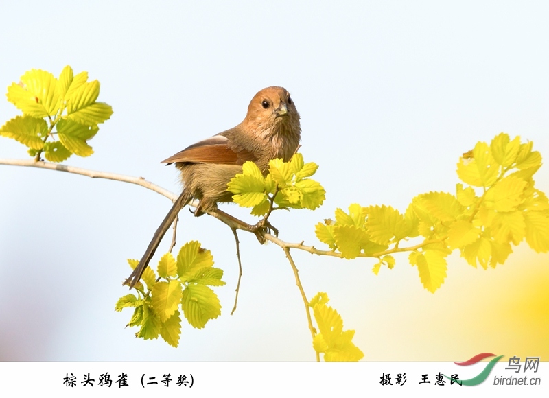 021��ͷѻȸ   Ǳ��ʪ��.jpg-1.jpg