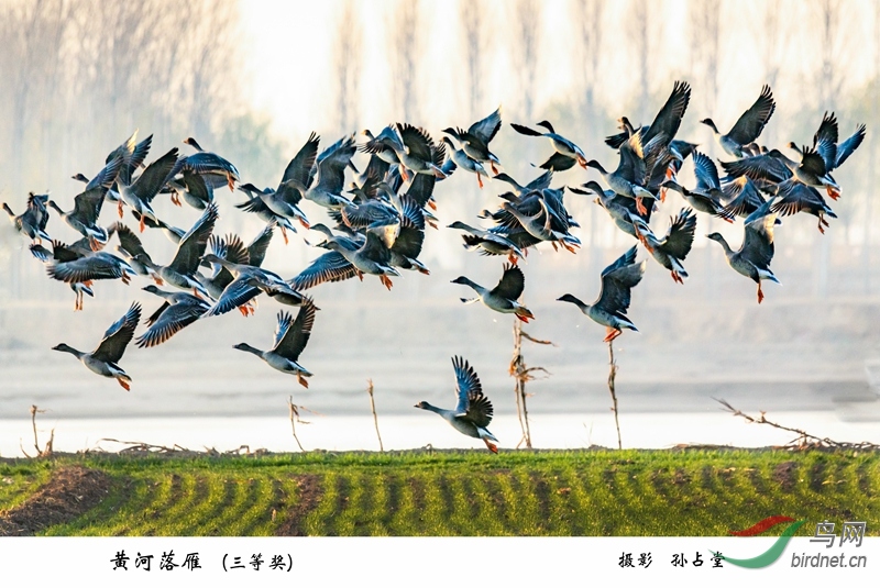 017 �ƺ�����һ.jpg