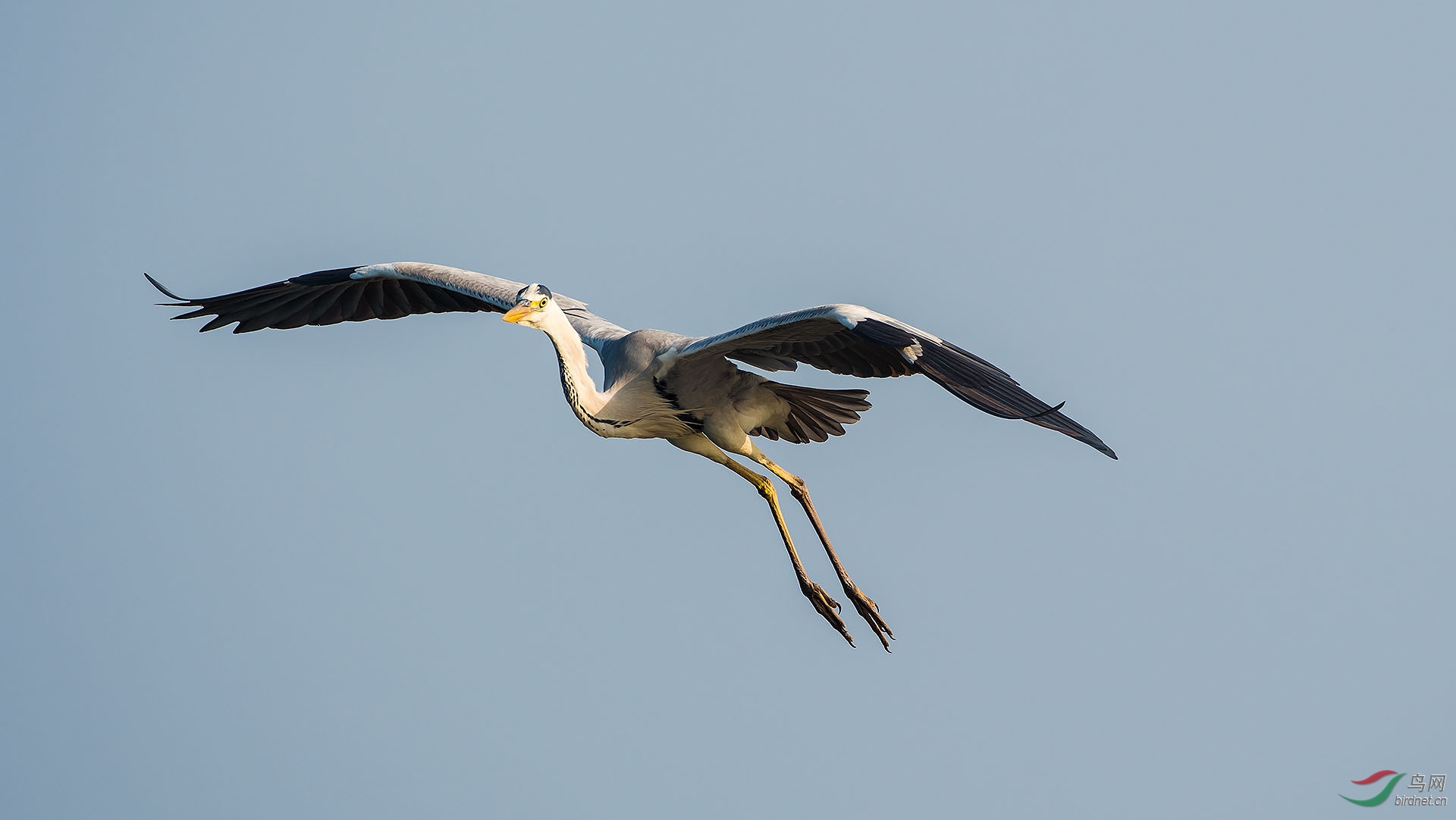 DSC_5119.jpg