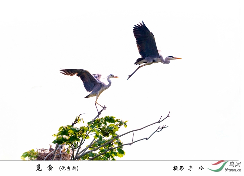 ����ʳ�� 012..jpg