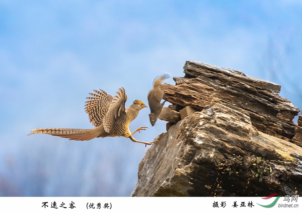 008 DSC02132.jpg-1.jpg