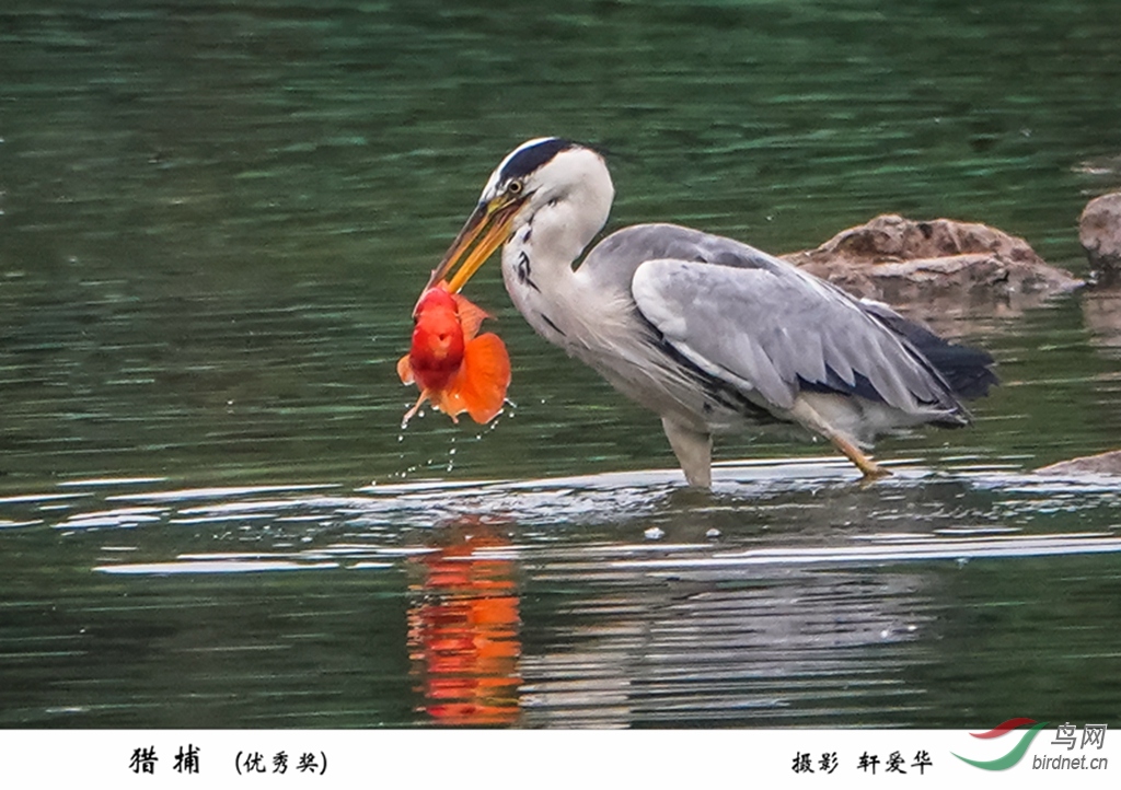 026 4���Բ�����.jpg