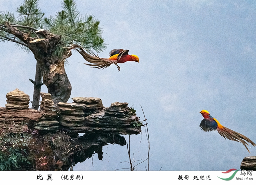 031���� ����.jpg