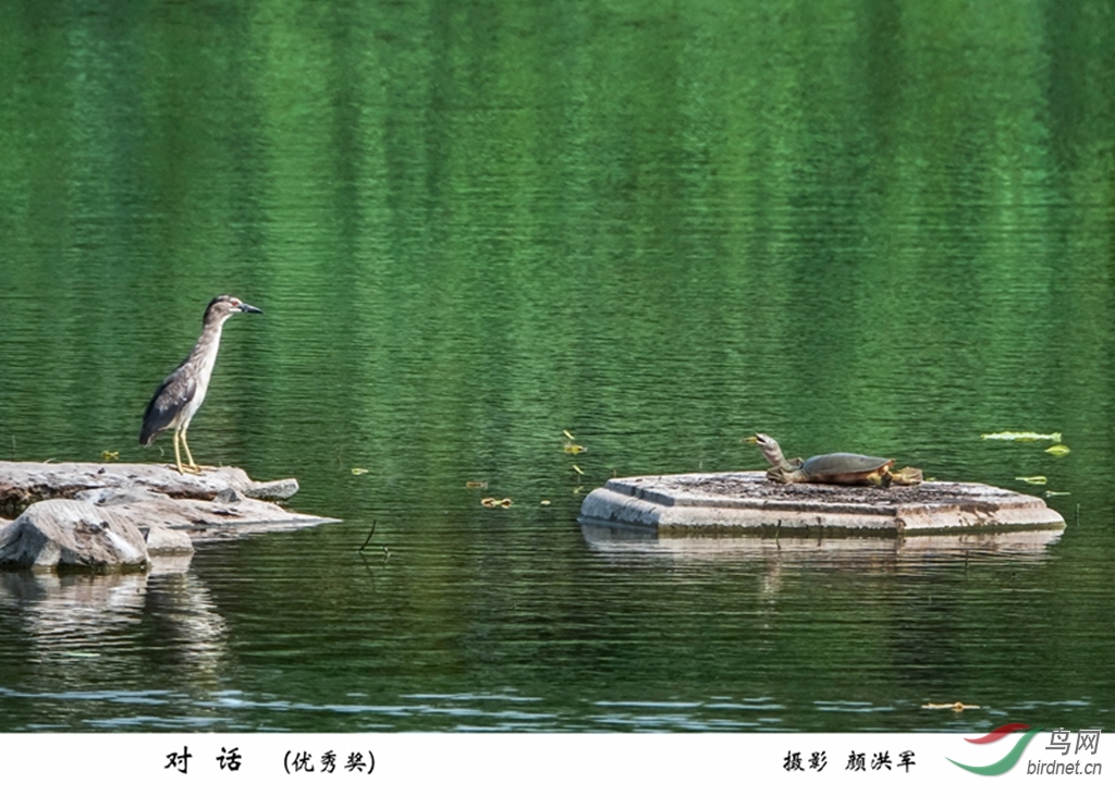 0287 3.�ع�Ի�.jpg