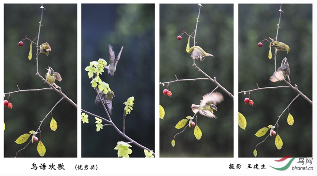 ���ﻶ��  ������.jpg