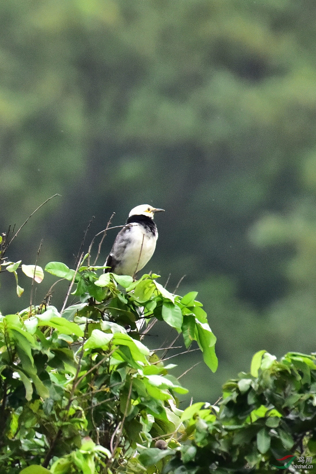 DSC_0859.JPG