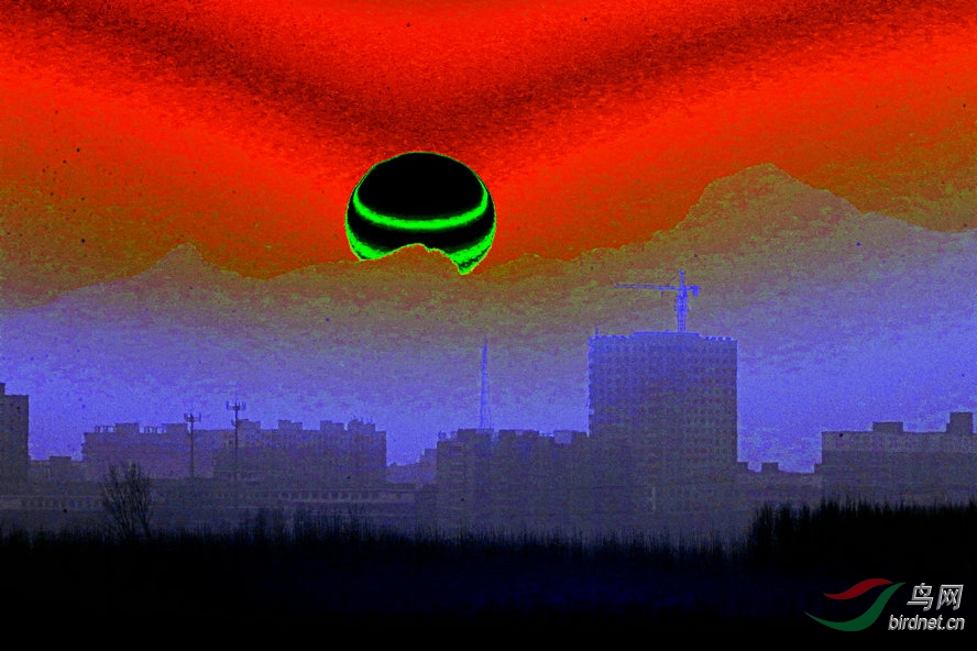 AQ1I5341_����_����.jpg