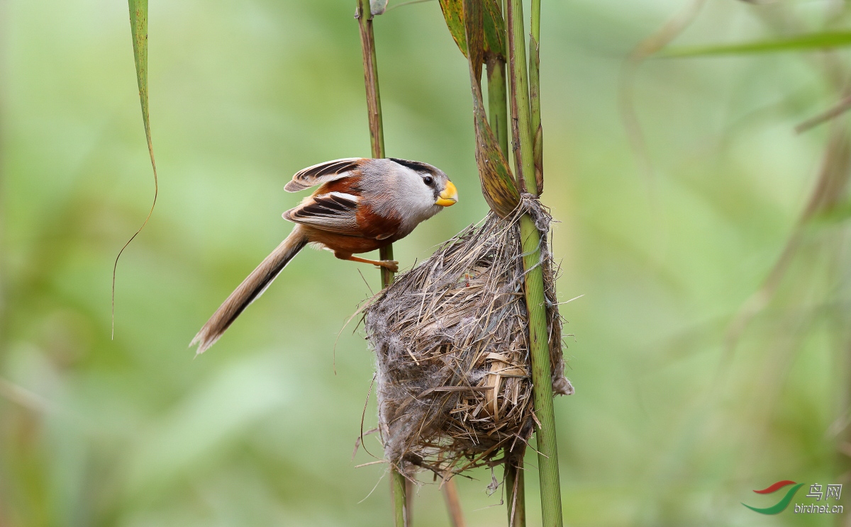 2174-�� (1 - 1).jpg