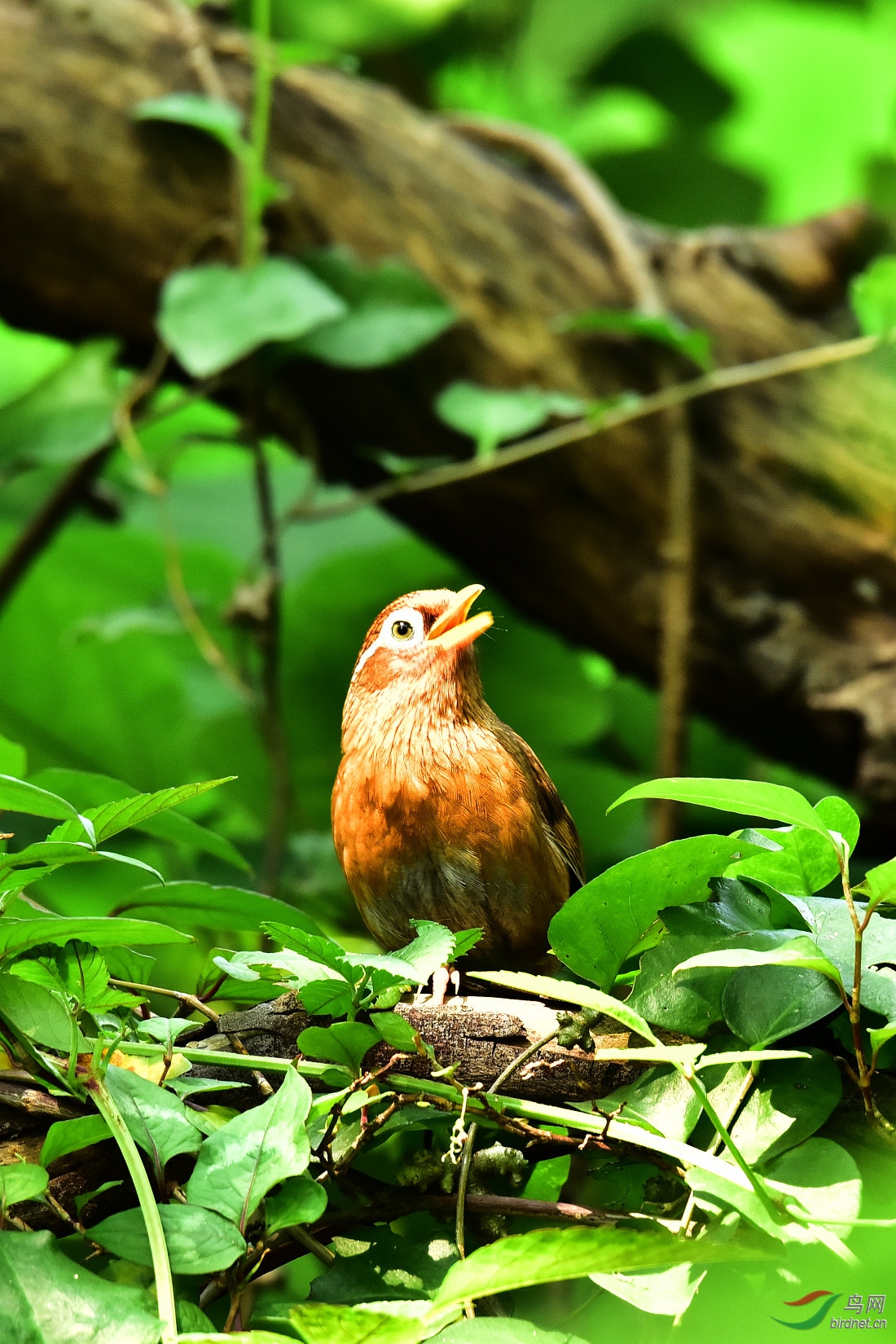 DSC_0865.JPG