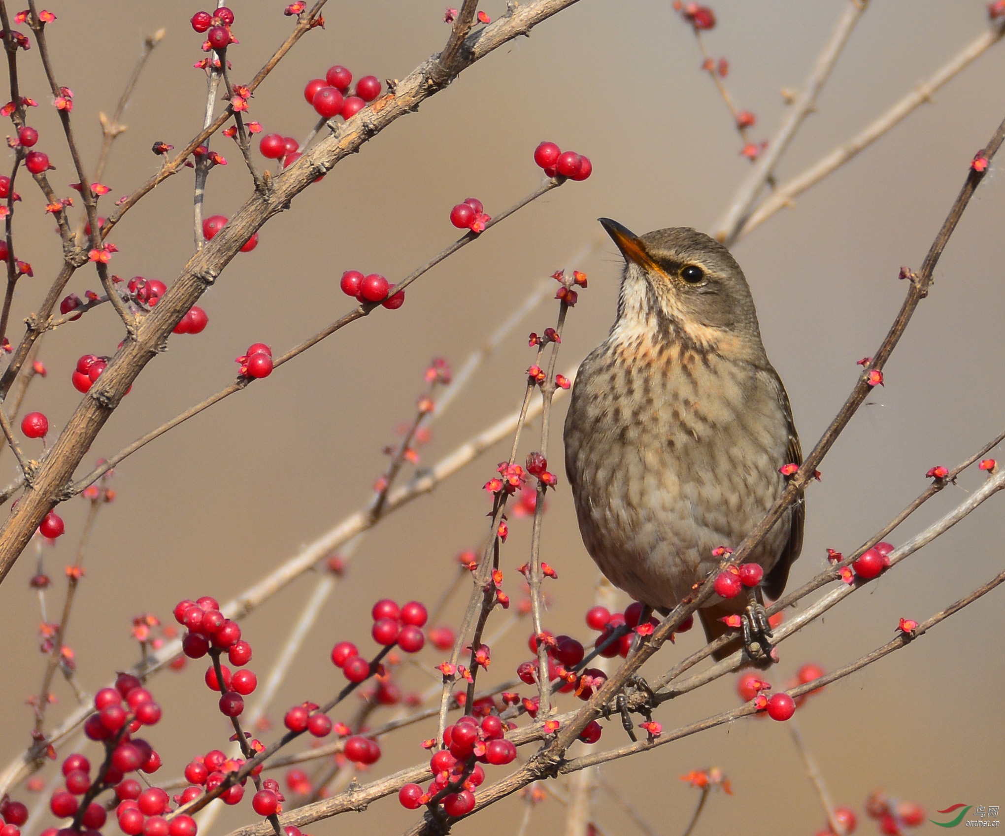 ������Ӱ 1300����.jpg