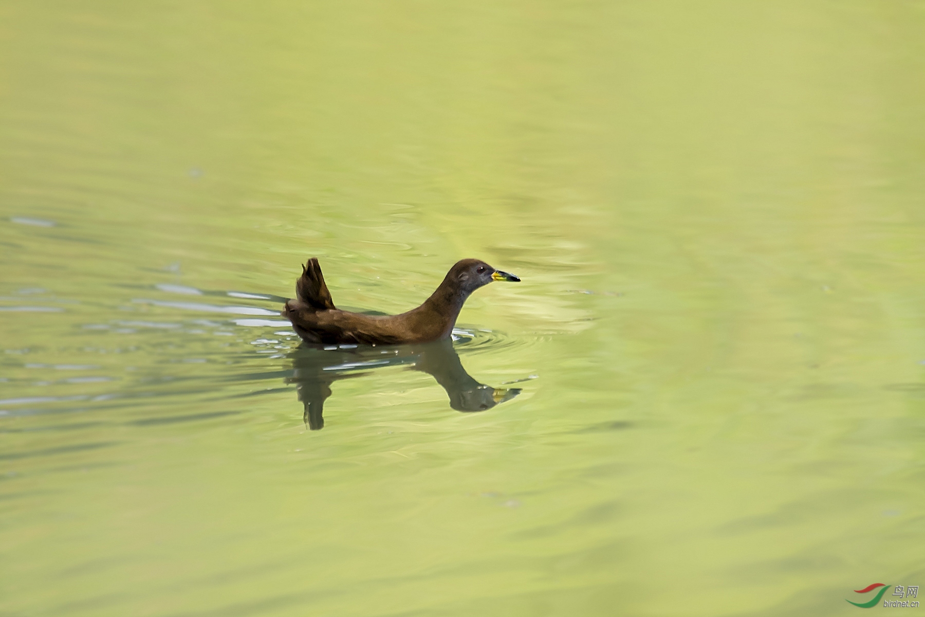 DSC_5283_����.jpg