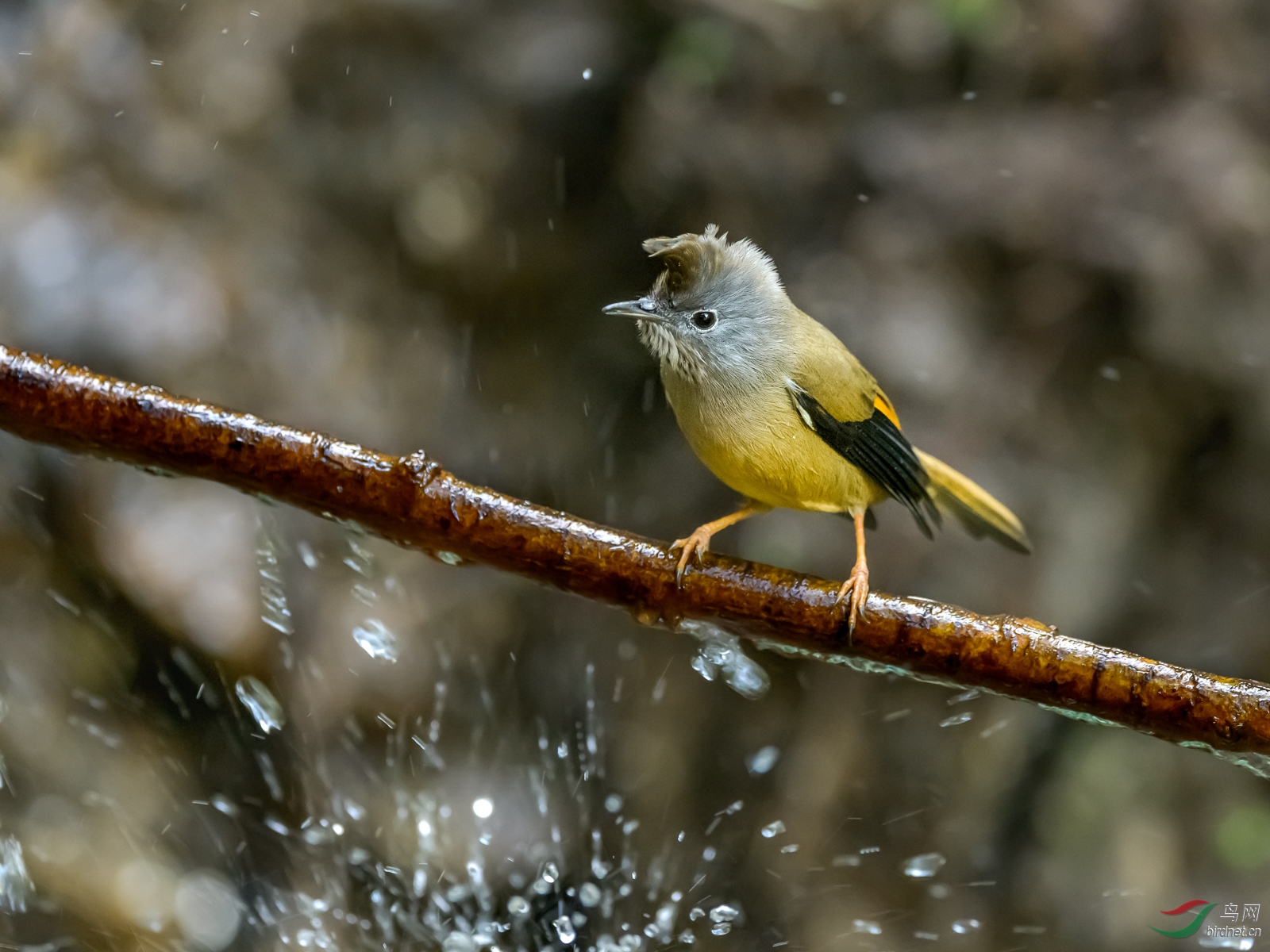 DSC_0444.jpg