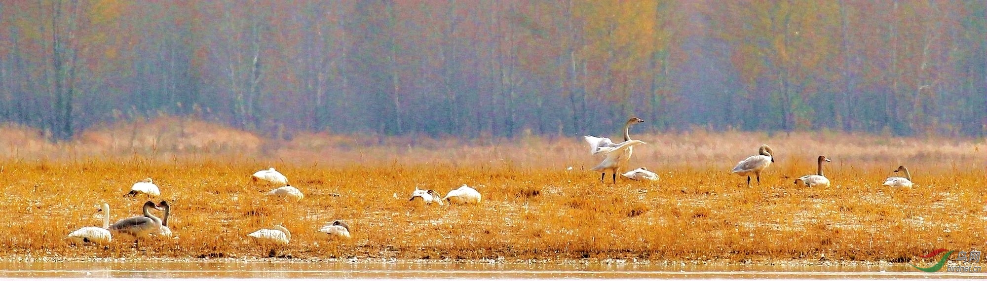 AK2Y9039_2000_2222.jpg