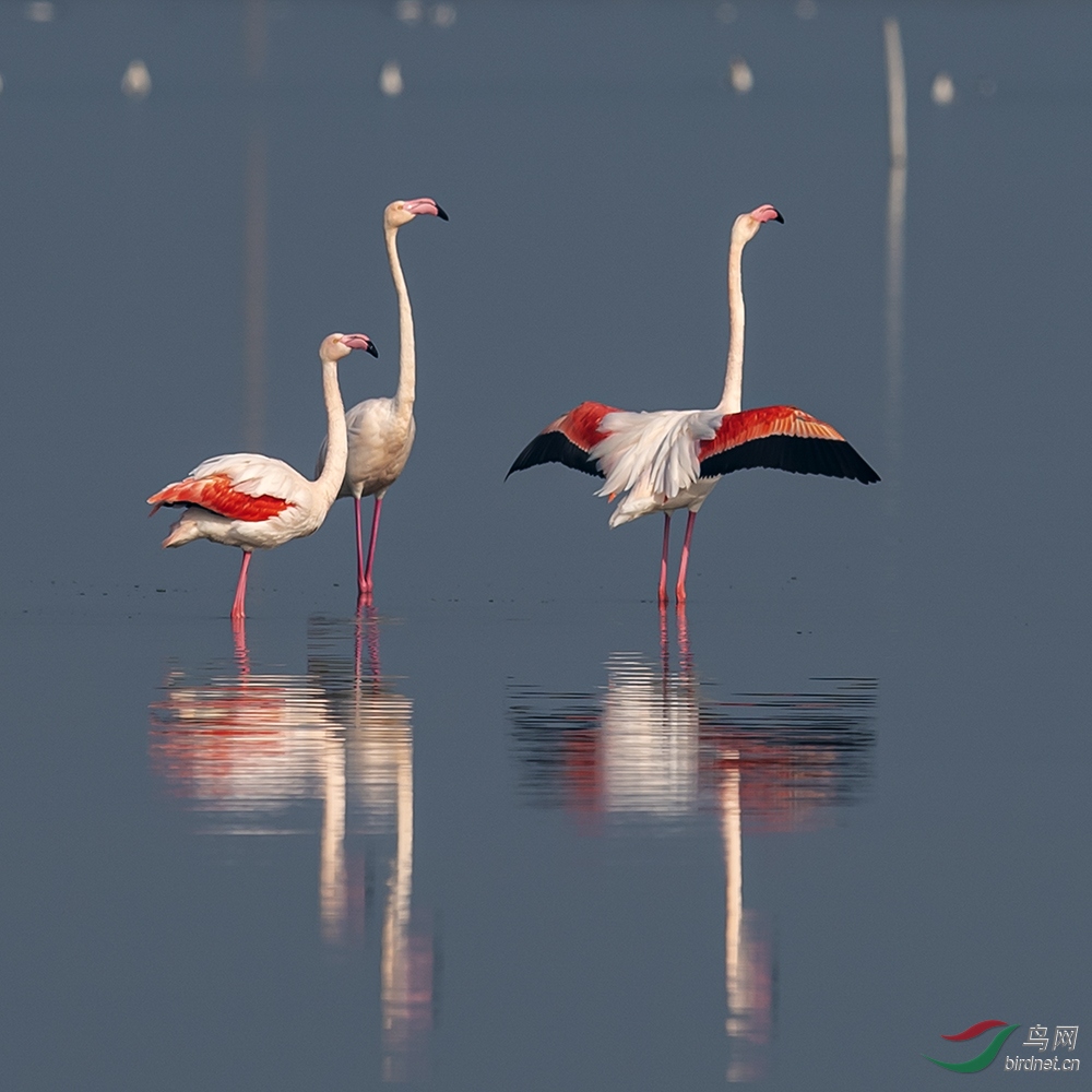 ������ɽ���˳��κ���