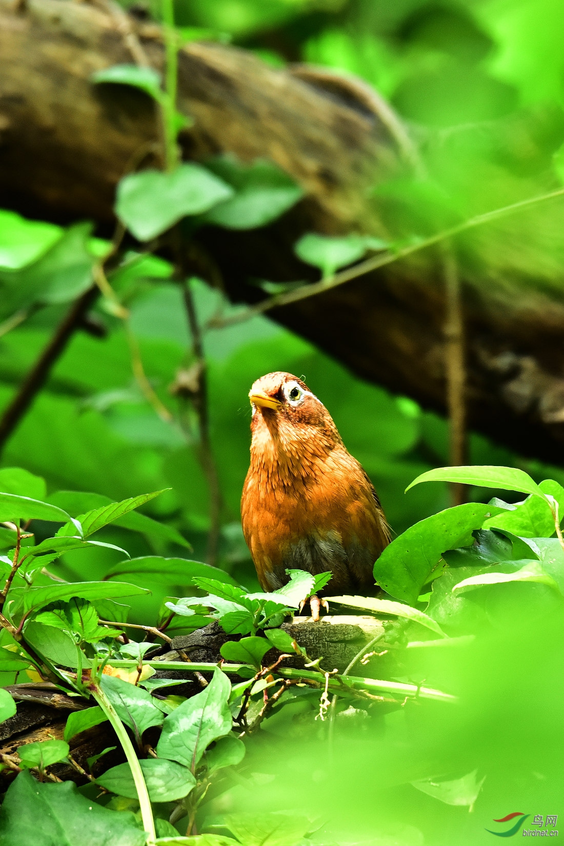 DSC_0873.JPG