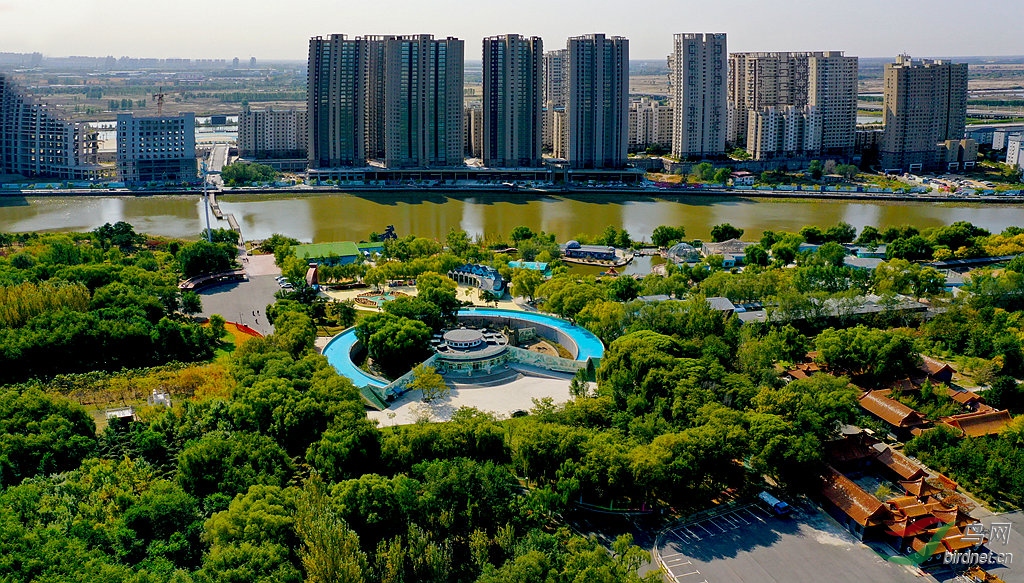 1DJI_0095_����_����.jpg